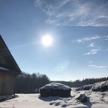 Zurawi Jar Bed & Breakfast Wabrzezno Eksteriør bilde