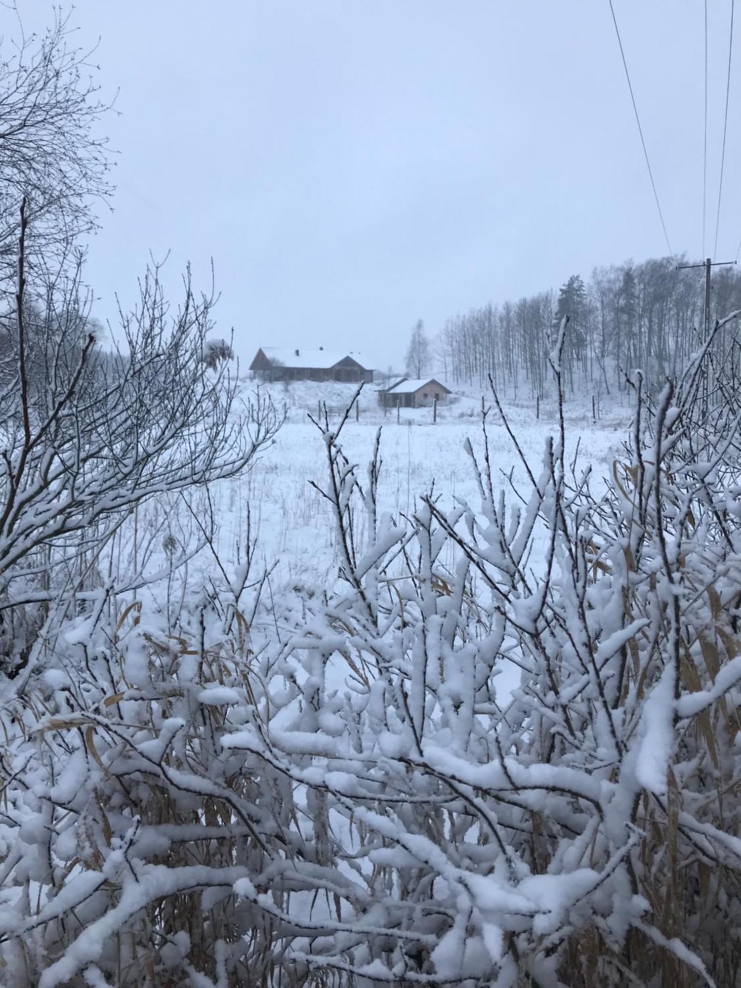 Zurawi Jar Bed & Breakfast Wabrzezno Eksteriør bilde